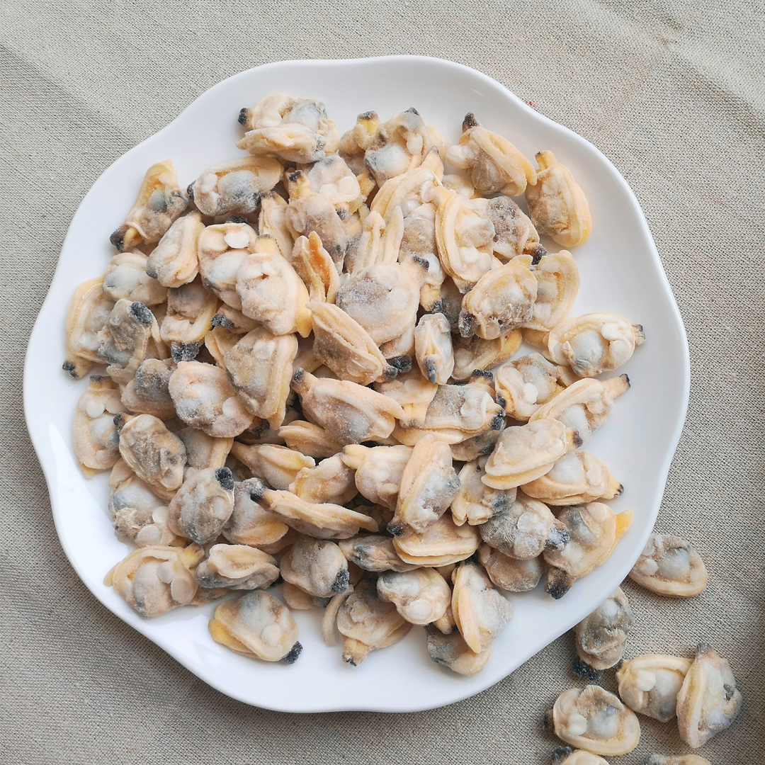 Clams Meat Frozen
