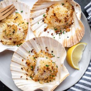 Half Shell Scallops  Spain /China