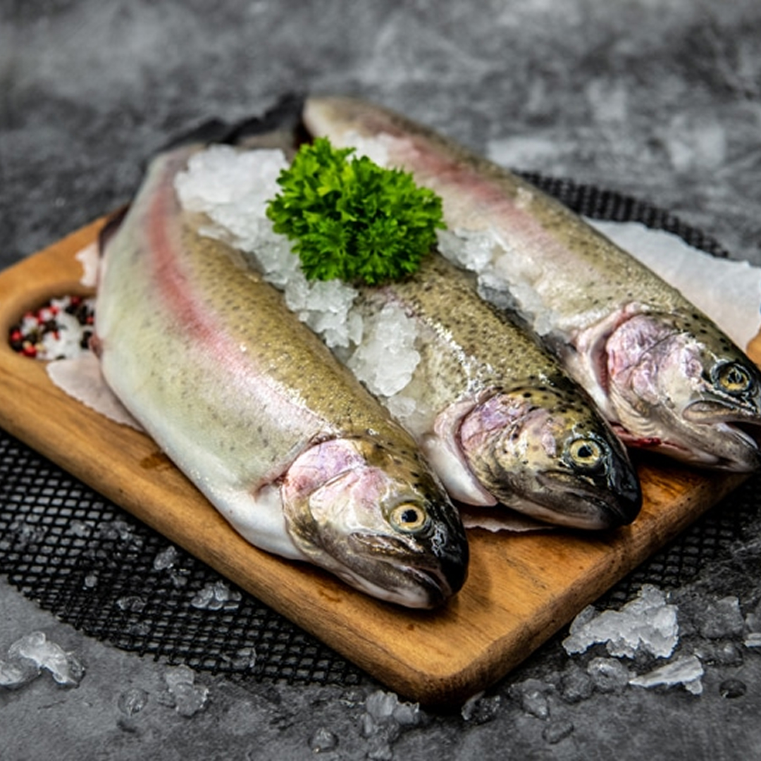 Rainbow Trout Fish 600-800