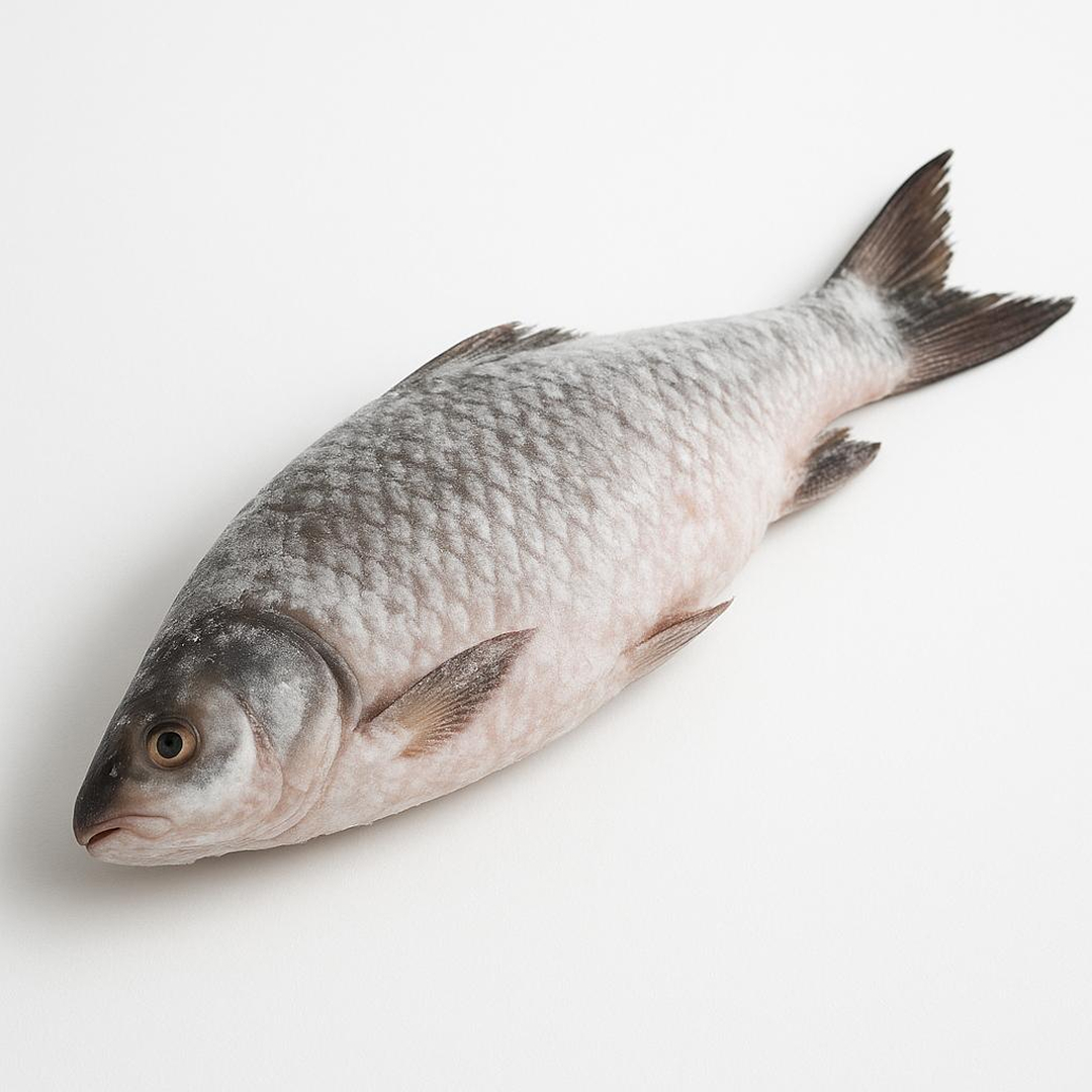 Rohu Fish India/Pakistan - SeaFood King