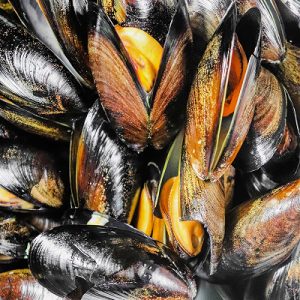Mussels