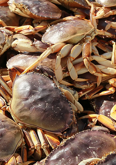 Crabs