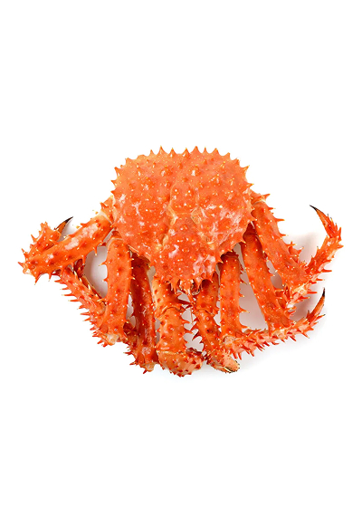 Live Seafoods